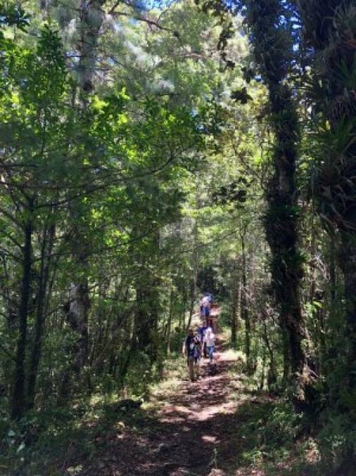 De regreso descansamos en dos campamentos: Don Tomás y El Naranjo, ambos acondicionados para acampar y preparar alimentos.