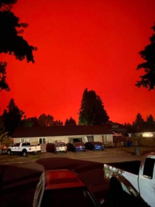 'Hay partículas muy pequeñas en el humo de los incendios forestales que pueden meterse profundamente en los pulmones y pueden afectar en especial a poblaciones sensibles', dijo Gabriela Goldfarb, gerente de servicios medioambientales de la Autoridad de Salud de Oregon, a la cadena Univision.