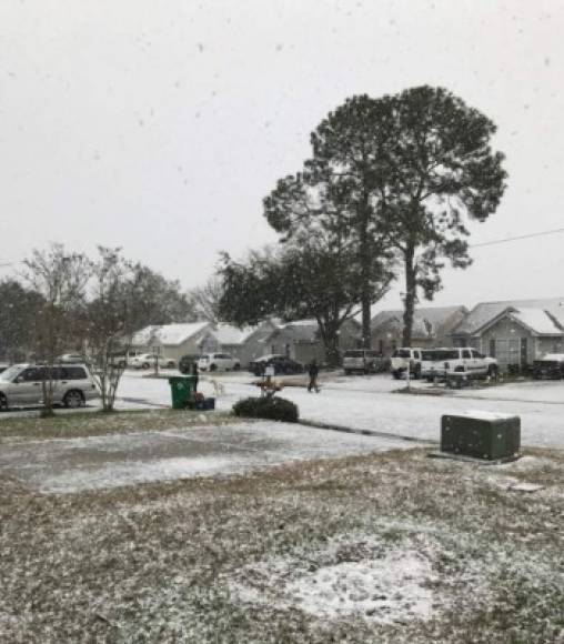 La monstruosa tormenta ha llevado la primera nevada en las últimas tres décadas en el estado de Florida. Tallahassee, la capital de este estado del sureste estadounidense, amaneció con 2,5 milímetros de nieve, la primera medición significativa desde 1989, según el Weather Channel.