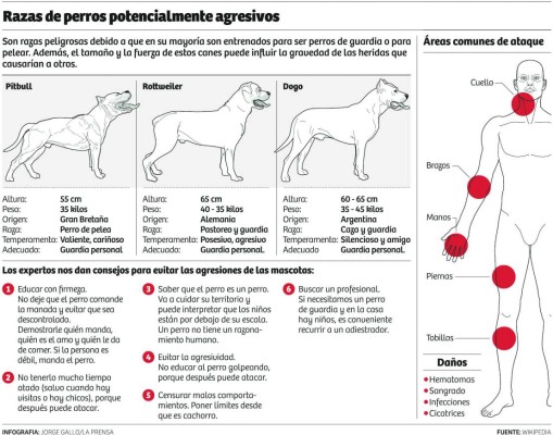 Foto: La Prensa