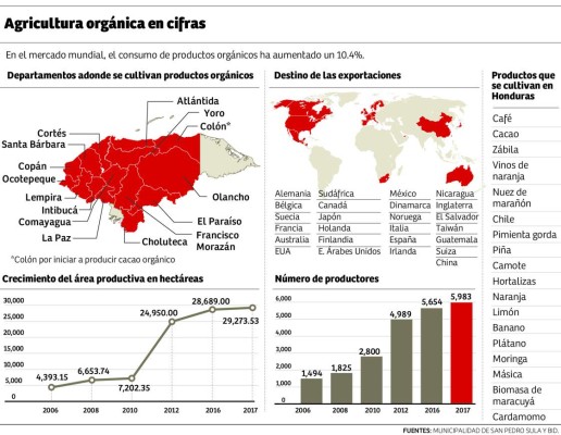 Honduras provee productos orgánicos a más de 26 países