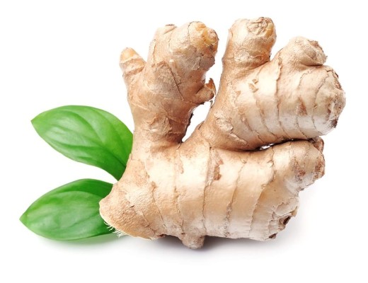 Ginger root in isolated white background