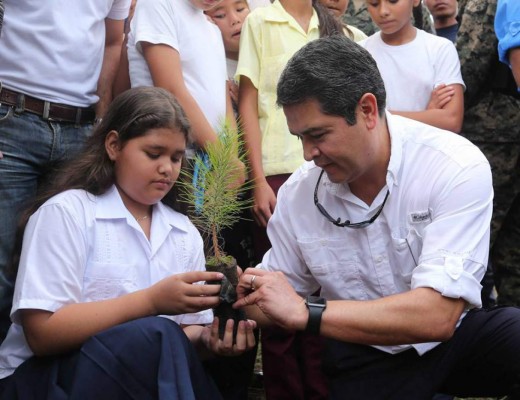 Honduras lanza campaña de reforestación