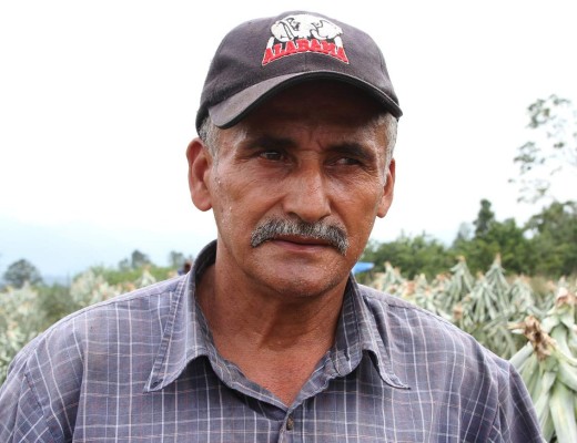 Honduras: Campesinos de Santa Cruz abrirán fábrica de envasado de jalea de piña