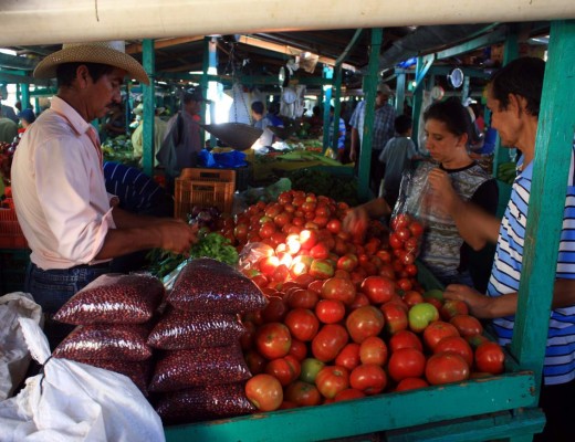 Cosecha de postrera todavía no baja el precio de frijol rojo en Honduras