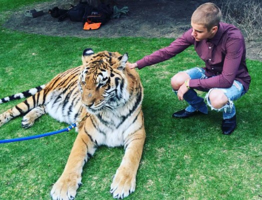 Peta, molesta por foto de Justin Bieber