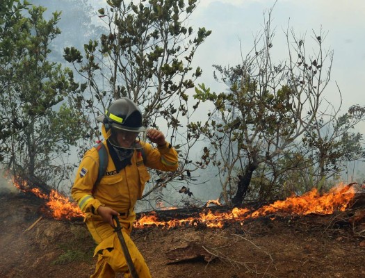 Diez incendios activos arrasan con los bosques en Honduras