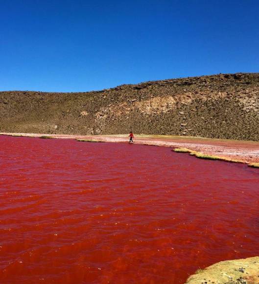 En el mismo texto, pero en el versículo 21, se indicó: “Asimismo, los peces que había en el río murieron; y el río se corrompió, tanto que los egipcios no podían beber de él; y hubo sangre por toda la tierra de Egipto”.