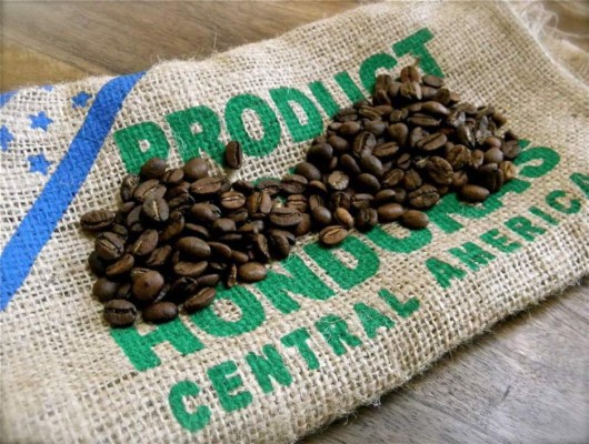 Ingreso por exportación hondureña de café hondureño baja 15.5%