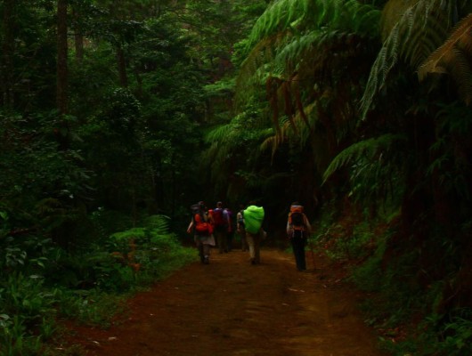 Ecoturismo, el otro gran atractivo para explorar Honduras