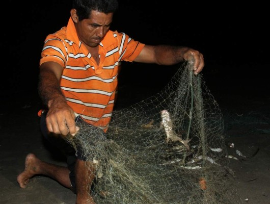 En la Barra de Chamelecón, entre la leche y los pescados