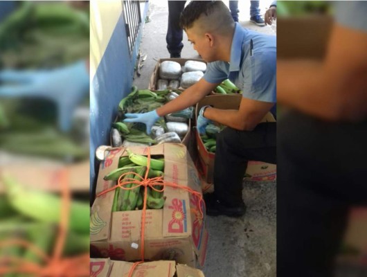 Hallan supuesta marihuana en cajas de plátanos en La Ceiba