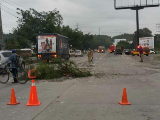 Foto: La Prensa