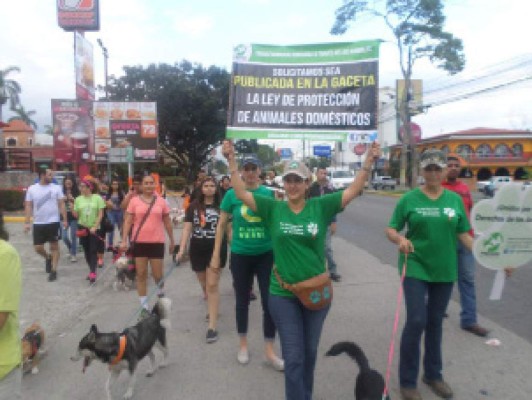 Ley de protección animal trae cárcel para los infractores