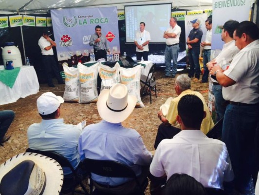 Lecheros de Honduras son incentivados a mejorar producción