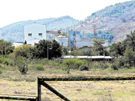 Argos operará planta en San Lorenzo