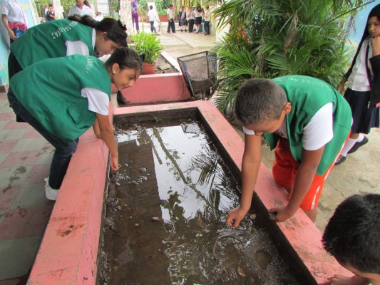 Temen que acumulación de agua eleve casos de chikungunya