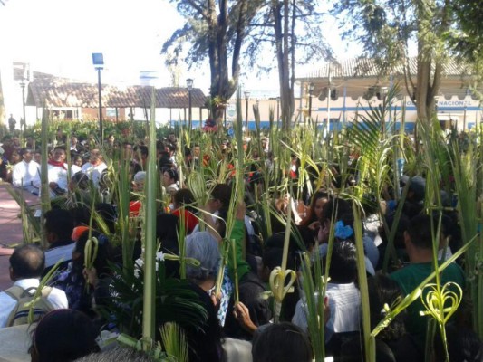 Honduras: feligresía de Occidente celebra el Domingo de Ramos