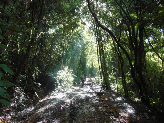 Lugares paradisíacos para disfrutar de un verano mágico