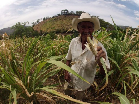 Hondureños sin alimentos ni agua por el embate de El Niño