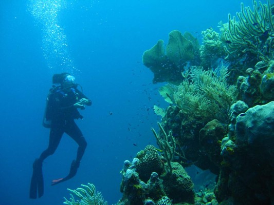 Dunbar Rock, un paraíso en Guanaja