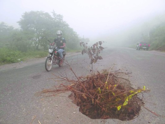 Mal estado de carreteras de occidente hondureño retrasa el despegue de la región
