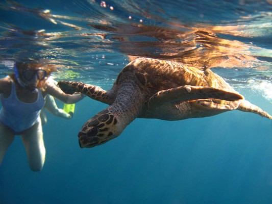 Bahamas, con sabor a paraíso