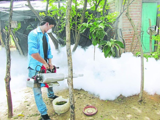 Honduras: Reportan rápido incremento en casos de dengue