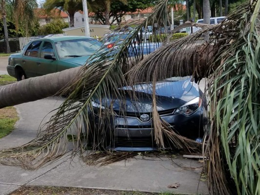 Hondureños sin energía eléctrica y con poca comida en la Florida