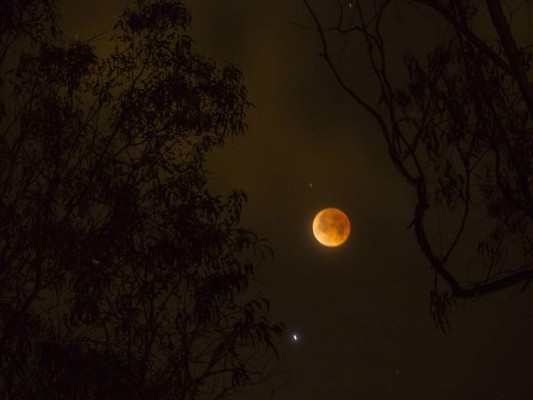 Por cuatro horas, el mundo se maravilló viendo al cielo