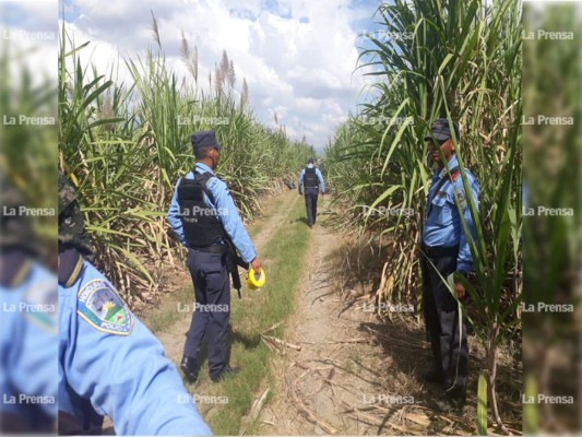 Encuentran dos cadáveres embolsados en las cañeras de Chamelecón