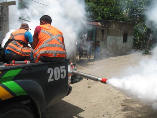 Redoblan fumigación en Chamelecón