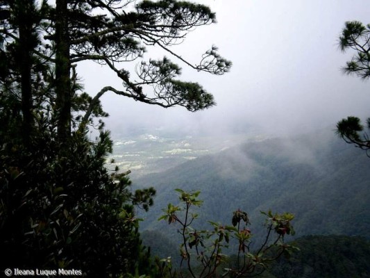 Unesco inscribe al área Cacique Lempira de Honduras como Reserva de Biosfera