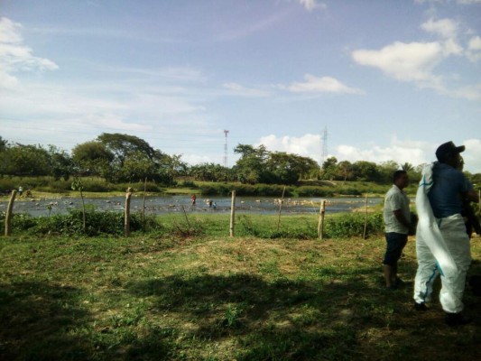 Encuentran muerto a un hombre a orillas de un río en Tocoa