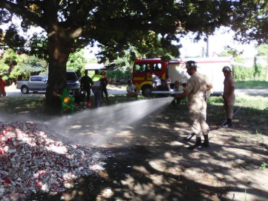 Destruyen cargamento de cigarros de contrabando no aptos para consumo