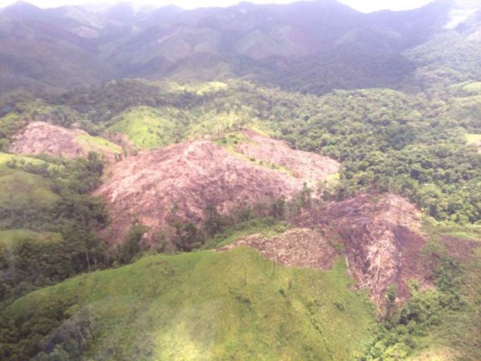 Ejército ampliará protección en zona de reserva de La Mosquitia