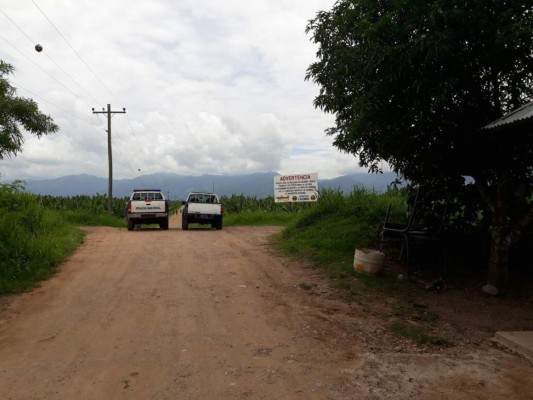 Hallan muerto a un empleado de una finca en San Manuel, Cortés