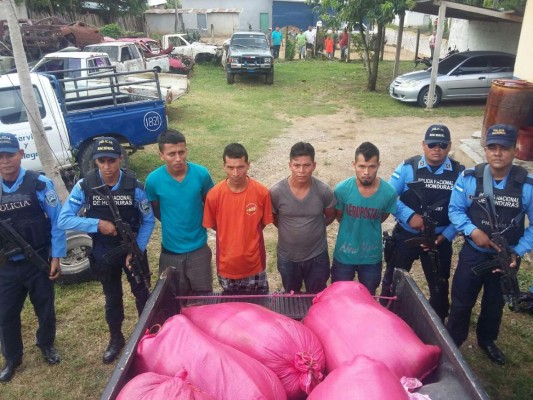 Cae supuesta banda acusada de robar ganado en Morazán, Yoro  