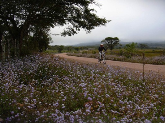 Foto: La Prensa