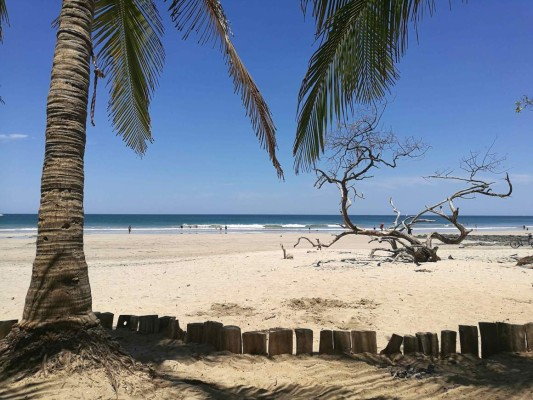 SJ700. SAN JOSÉ (COSTA RICA) 13/8/2017.- Fotografía sin fecha cedida por GOPlaya.cr que muestra una vista de la playa Avellanas, en la provincia de Guanacaste (Costa Rica). El nuevo sitio web GOPlaya.cr permite explorar más de 200 playas de Costa Rica, desde las más remotas y vírgenes hasta las más turísticas, según el gusto de cada amante de la naturaleza. EFE/Armando Del Vecchio/GOPlaya.cr