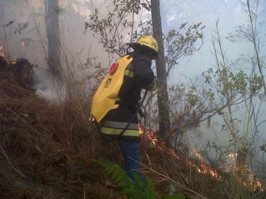 Luchan por controlar otro incendio forestal