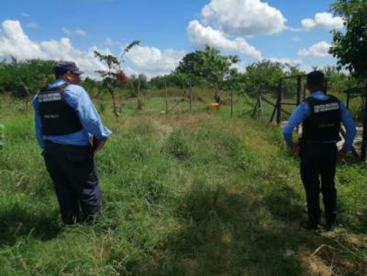 Hallan osamentas de tres personas en potrero de la Rivera Hernández   