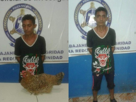 Joven es capturado por intentar hurtar una gallina en Choluteca