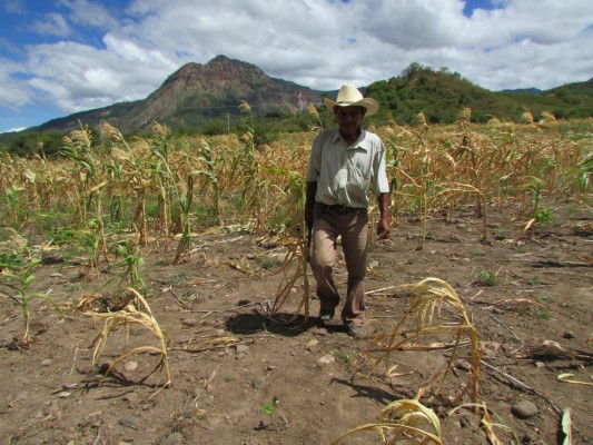 La SAG presenta acciones ante situación del agro debido a la sequía