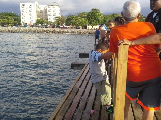 Ocho restaurantes habrá cerca del muelle fiscal en La Ceiba