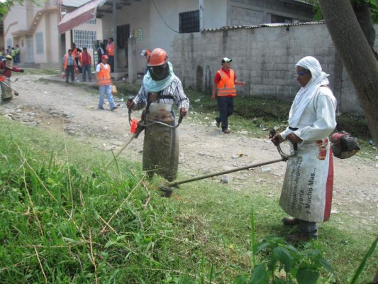 Fumigan y limpian unas 1,100 casas para prevenir dengue y chikungunya