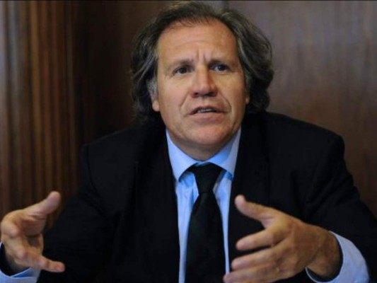 OEA no abordará crisis hondureña antes de toma de posesión de Juan Orlando Hernández