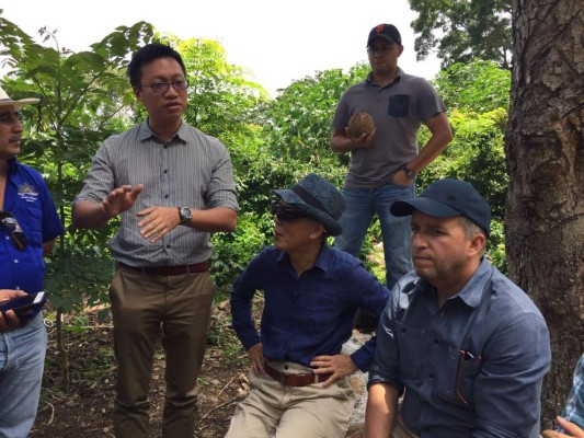 Compradores de café de Taiwán visitan fincas hondureñas
