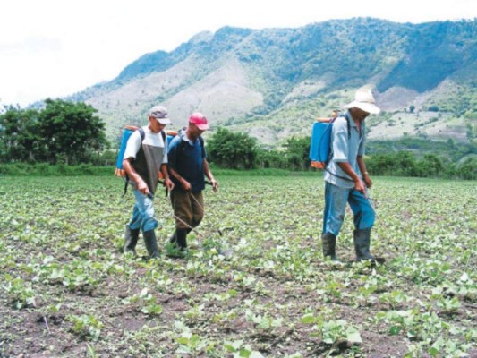 Aprueban que campesinos a los que les remataron tierras por falta de pago, las recuperen