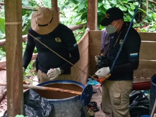 Ligan plantaciones de coca con vinculados a extraditado